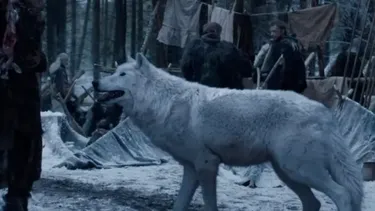 Dan vida al lobo huargo de Casa Stark de serie Juego de Tronos, extinto hace 13.000 años