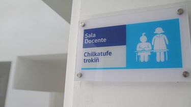 U. de Chile inaugurará jardines infantiles y período de pre y postnatal para estudiantes durante 2018