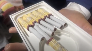 Bombero y funcionario Conaf detenidos: Lo que se sabe sobre los mega incendios de Viña del Mar