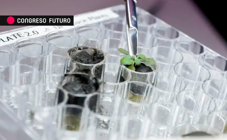 FOTO BIORREMEDIACION.png