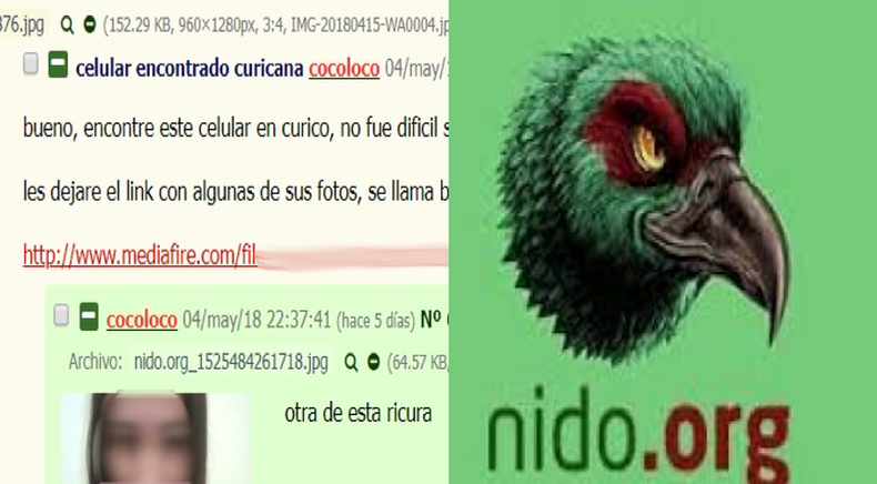 nido.org_.png