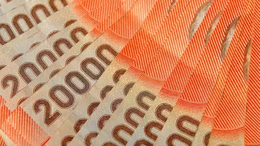 Hoy comienzan los pagos del Subsidio al Empleo Joven: Revisa aquí con tu RUT si eres beneficiario