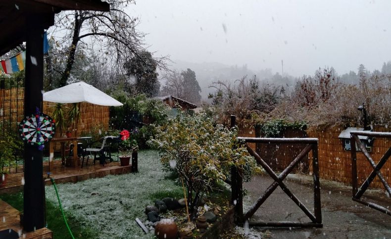 NIEVE.jpg