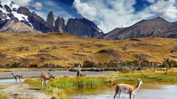 Concurso fotográfico propone destacar el valor de las áreas protegidas de Chile
