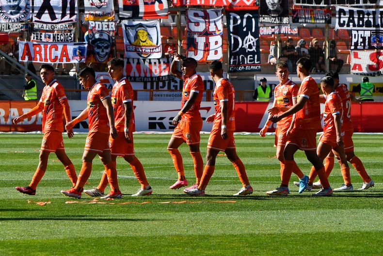 4774 cobreloa.jpg