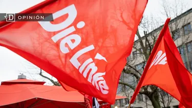 El Desconcierto | 12177 bandera de die linke.webp