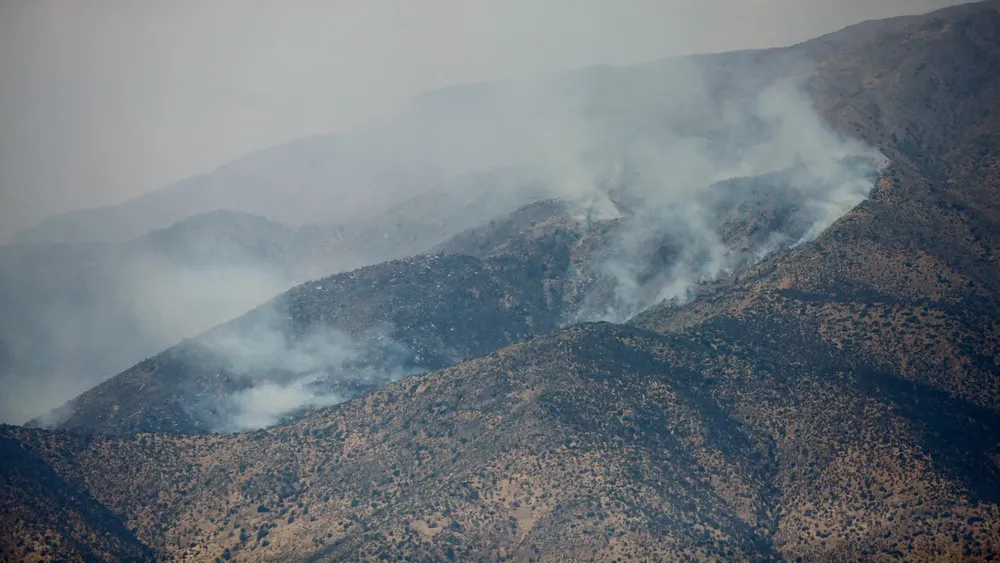 “Es desgarrador, se quema nuestro bosque esclerófilo con especies únicas de Chile”: Lamentan daño ecológico de incendio