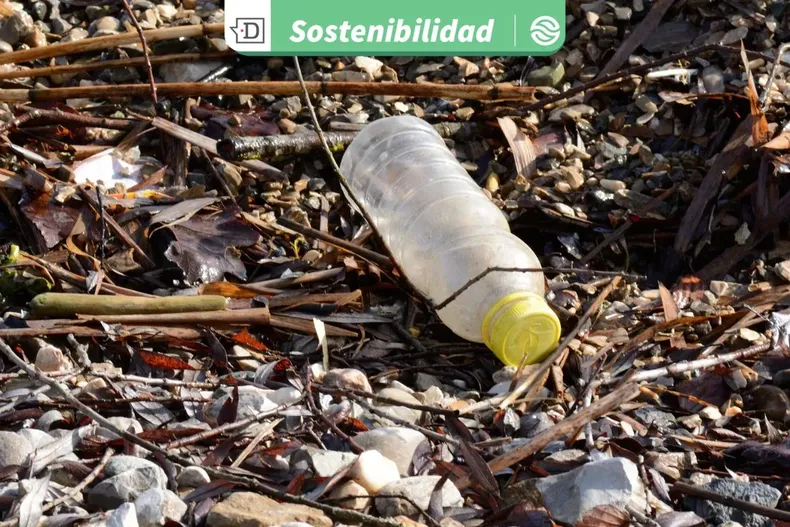 21396 diseno sin titulo 2025 08 26t112638.webp
