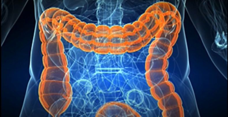 Escuela online de salud.jpg