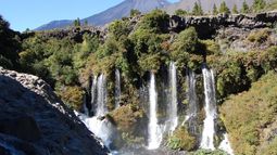 Día del Deporte: la lista de los 16 parques y reservas a los que podrás ingresar gratis este fin de semana Día del Deporte: la lista de los 16 parques y reservas a los que podrás ingresar gratis este fin de semana