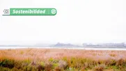 concon espera transformarse en epicentro del turismo sostenible: experiencias y atractivos que no afecten el medioambiente