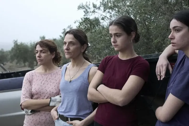 12867 pelicula la tortuga.webp