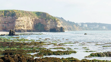 Acantilados de Quirilluca en Puchuncaví. Foto: Ministerio de Medio Ambiente.&nbsp;