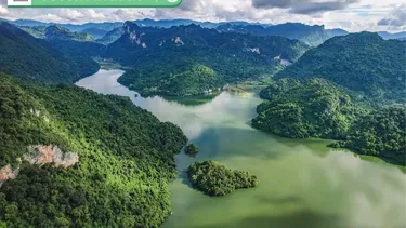 El “Fondo de Bosques Tropicales por siempre”: Preparan iniciativa internacional por la protección de estos ecosistemas