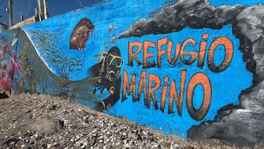 El Desconcierto | 22840 refugio marino maitencillo graffiti fermin koop img 6324.jpg