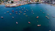 la jibia otra vez amenazada: acusan que flota de mas de 500 buques chinos se acercan a chile