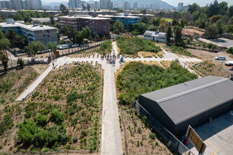 El bosque Miyawaki más grande de Chile, ubicado en comuna de Independencia.&nbsp;