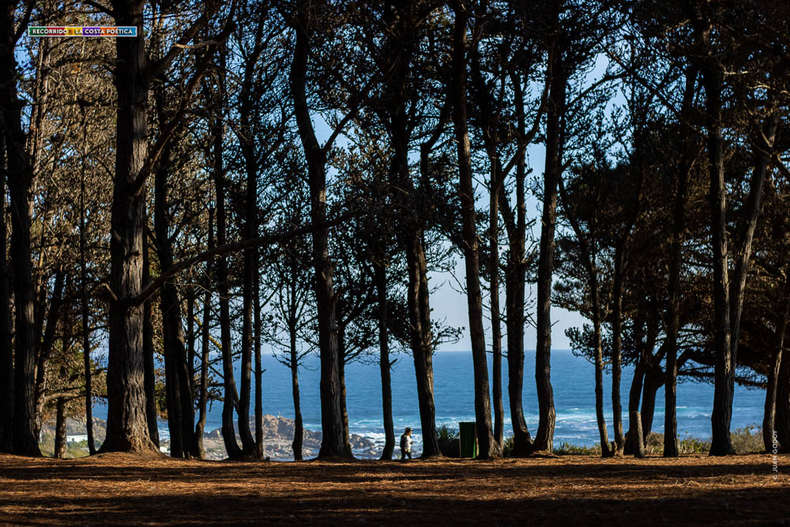 Parque Comunal El Canelo y El Canelillo en Algarrobo.