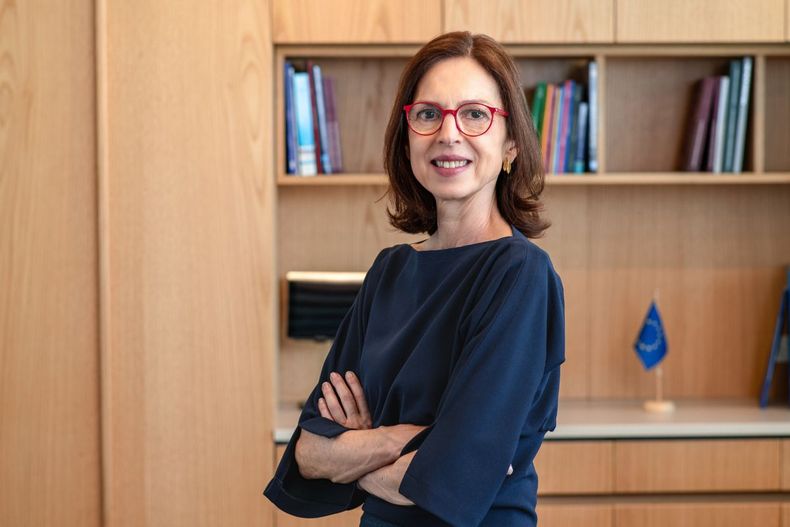 Queremos ser socios de Chile en innovación y sostenibilidad, afirmó Gintersdorfer.