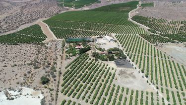 El Desconcierto | Agua mercantilizacion.jpeg