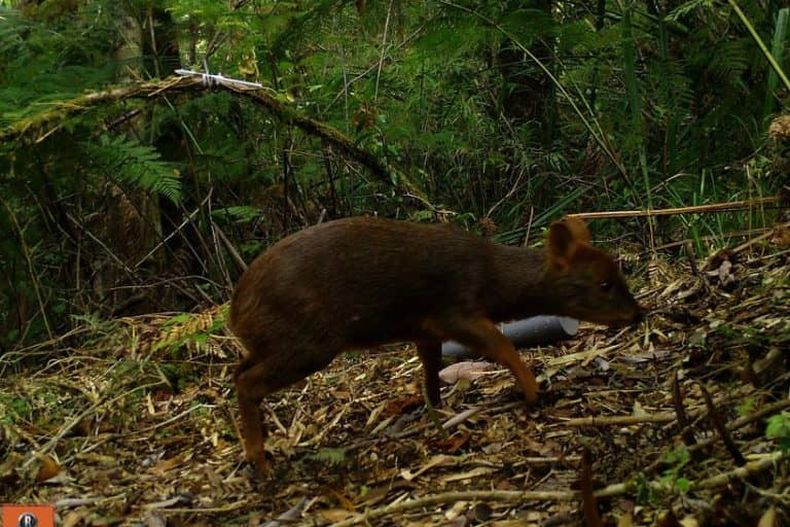 Nature Consevancy 768x512 1.jpeg