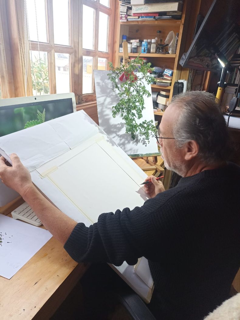 Proceso de creación de Francisco Ramos - Libro sobre plantas nativas de Chile