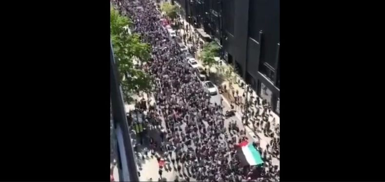 Chicago sale a la calle para apoyar a Palestina.jpg