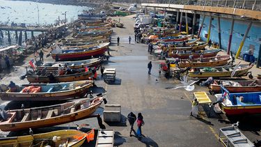 Ley de Pesca: Avances en protección a especies vulnerables delimitando áreas geográficas