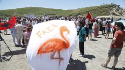 La revolución de los flamencos en Albania contra Donald Trump - Agencia EFE