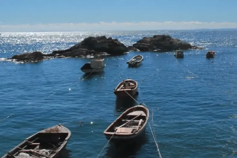 10719 diseno sin titulo 33.webp