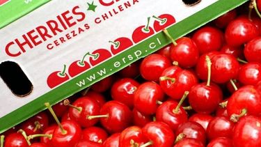 Despojando para alimentar al gigante: China y el agronegocio en Chile