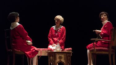La Dama de Los Andes: Una obra de teatro que reflexiona sobre el alzheimer y la memoria histórica