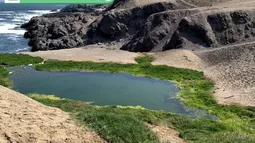Protección de humedales urbanos en Antofagasta: Nueva ordenanza municipal refuerza protección de ecosistemas