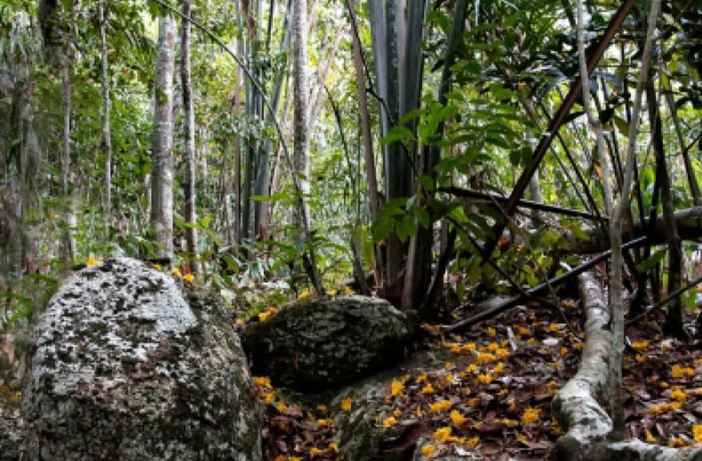 whatsapp_image_2023 06 09_at_6.44.09_pm.jpeg