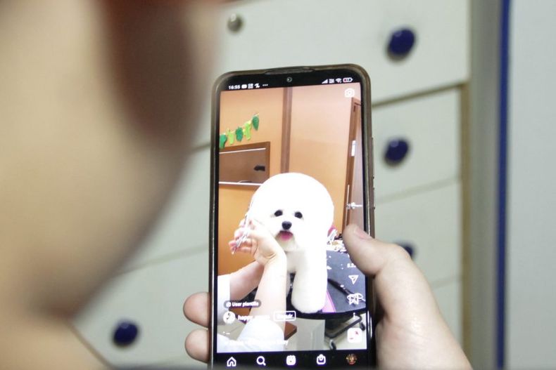 A_UNO_1380349 scaled e1704826111237.jpg