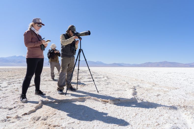 La fotografía de naturaleza permite observar la vida que se desarrolla en los salares del norte de Chile, ecosistemas donde agua, costra salina y fauna forman un paisaje único.