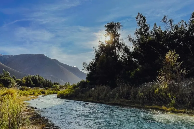 19326 rio elqui.webp