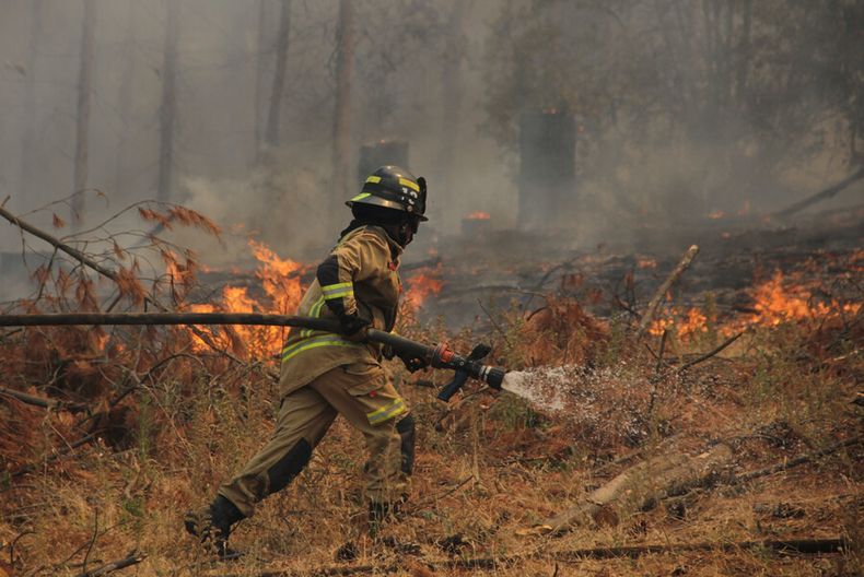 sernapred solicita evacuar sectores en la araucania y el biobio por incendios forestales.jpg