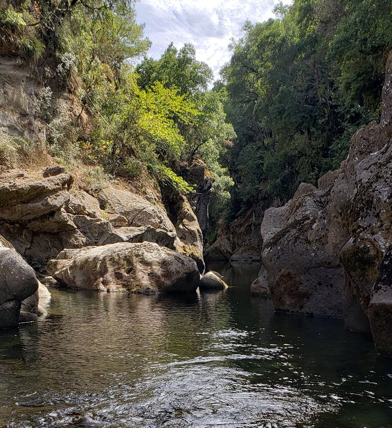 20200304_124955 2.jpg