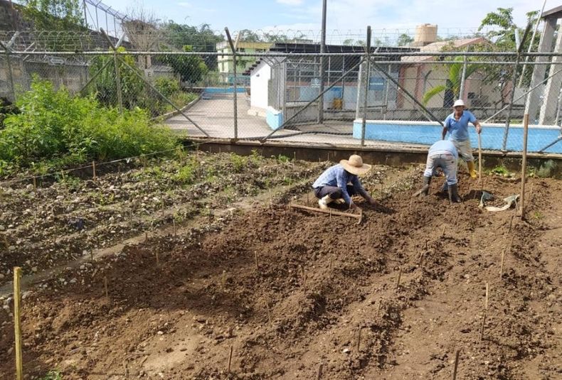 Imagen referencial.jpg