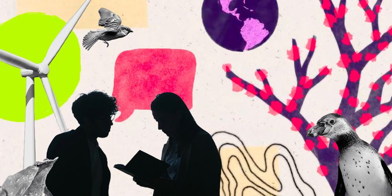 Sostenibilidad, medioambiente y ecología. Ejes de la evolución de El Desconcierto.