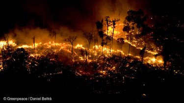 El Desconcierto | incendio brasil amazonia 1 768x512 1.jpg