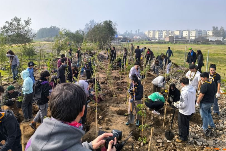 con metodo miyawaki voluntarios reforestaran humedal mapocho con 700 arboles.png