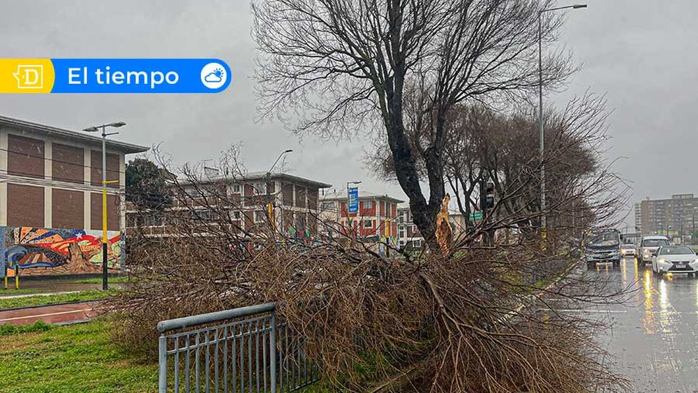 Sistema frontal causa apagón total desde la Región de La Araucanía a Los Lagos