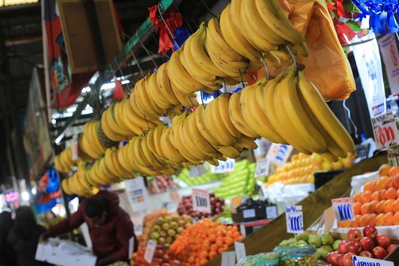 cerca de fiestas patrias experta pronostica alza en precios de alimentos por lluvias e1692888965108.jpg