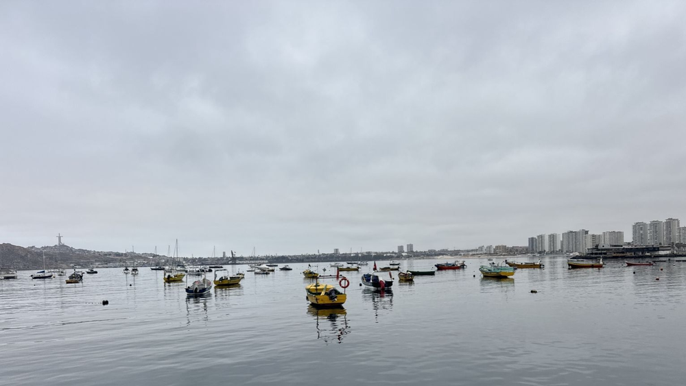 Bahía La Herradura en Coquimbo. Sernapesca.&nbsp;