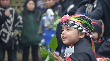 De burlas al castigo físico: las prácticas escolares que explican la pérdida del mapuzugun en las nuevas generaciones