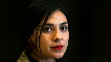 No solo Vallejo: Karol Cariola anuncia embarazo de 3 meses junto a diputado de Rementería