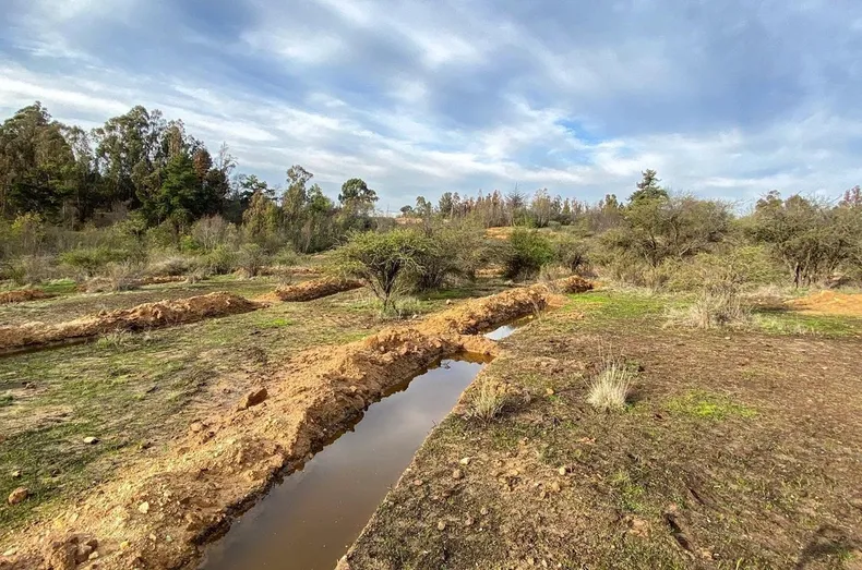 22312 jardin botanico vina 6 1.webp