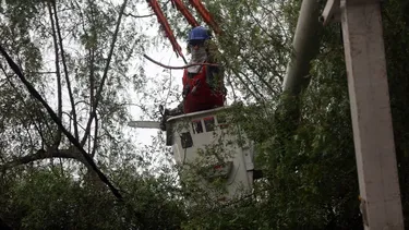 El Desconcierto | 23278 a uno 1186360.webp